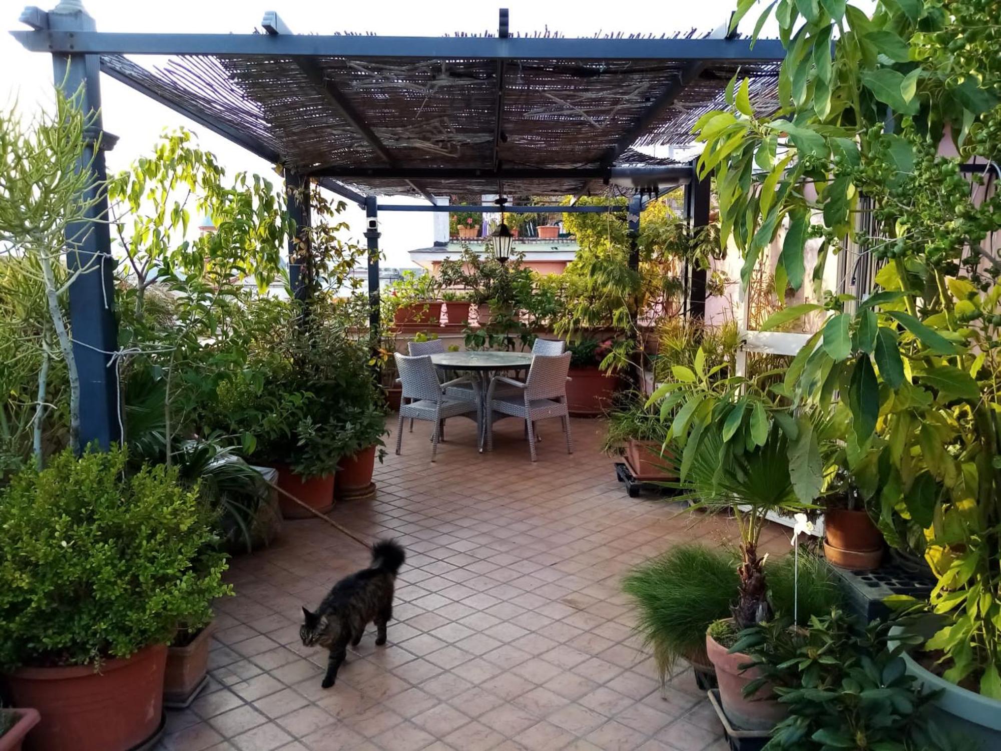 Il Nido Della Quaglia B&B - Jaba Mia House Lt Поцуоли Екстериор снимка